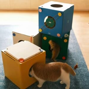 Cozy Cardboard Cat House