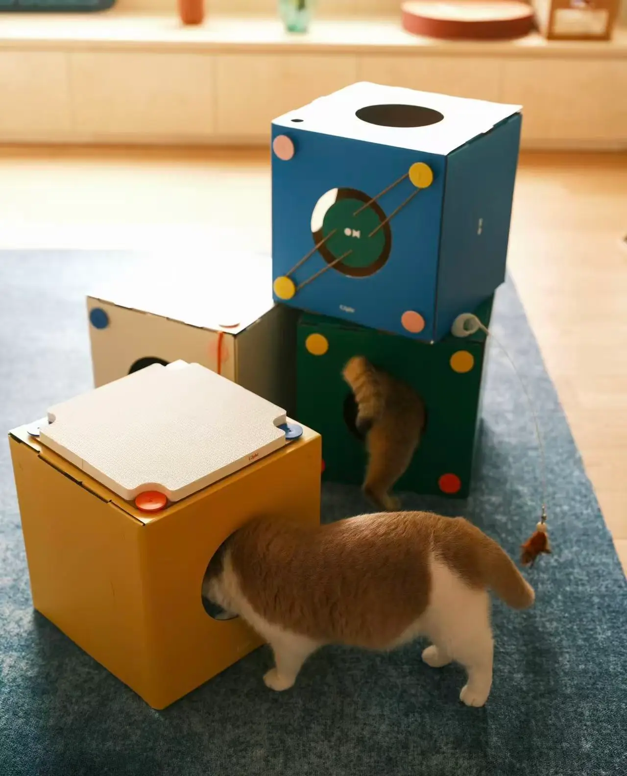 Cozy Cardboard Cat House