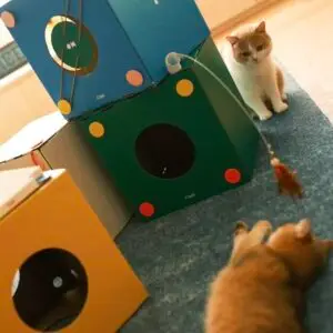 Cozy Cardboard Cat House 1